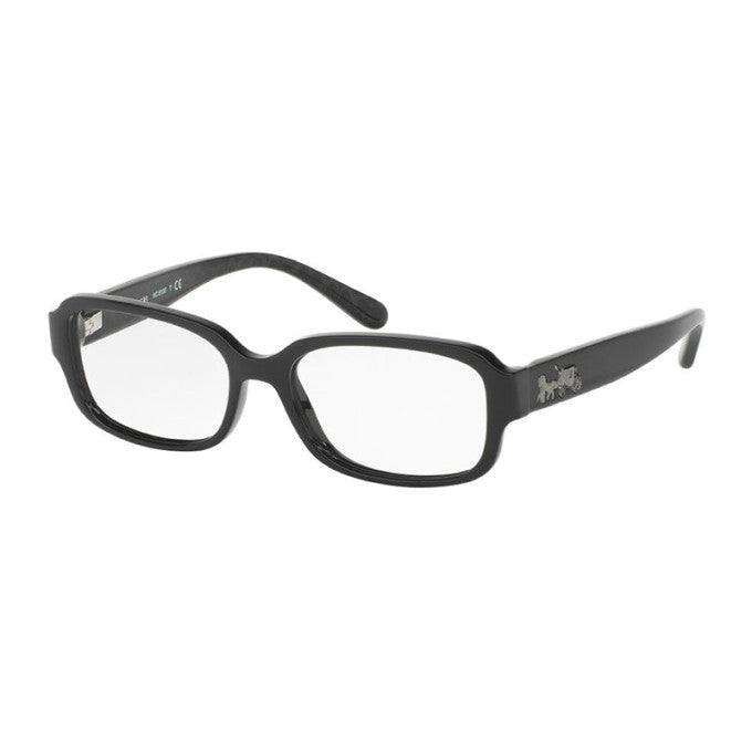 Coach HC6105 5420 51 mm