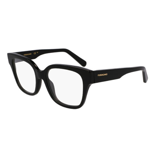 Salvatore Ferragamo SF2952N 001  53 mm