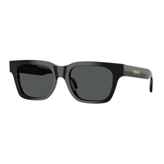 Versace VE4486F GB1/87  52 mm