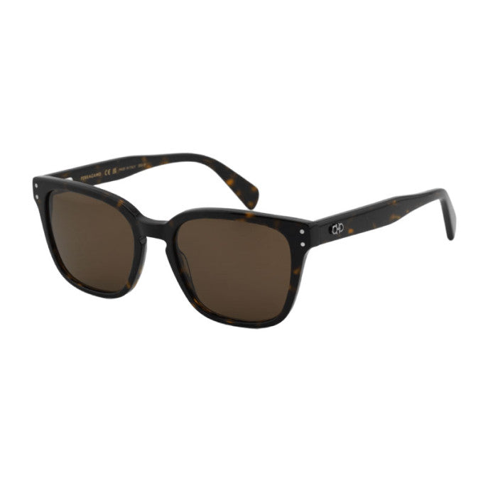 Lentes de sol SF1040SCP 240  55 mm