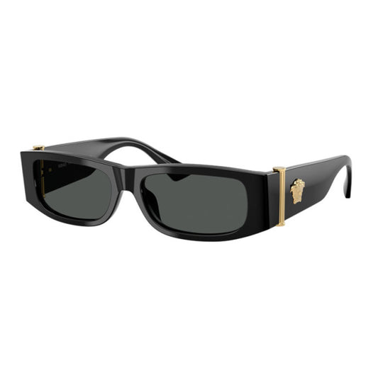 Versace VE4476U GB1/87  55 mm