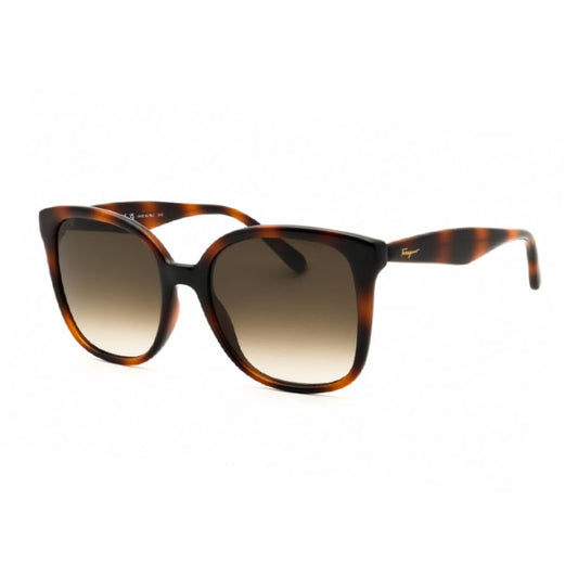 Lentes de sol SF1072S 240  56 mm
