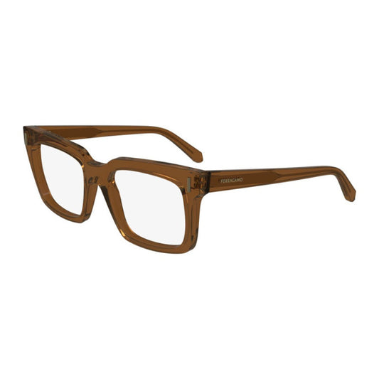 Lentes oftálmicos SF2993 232  53 mm