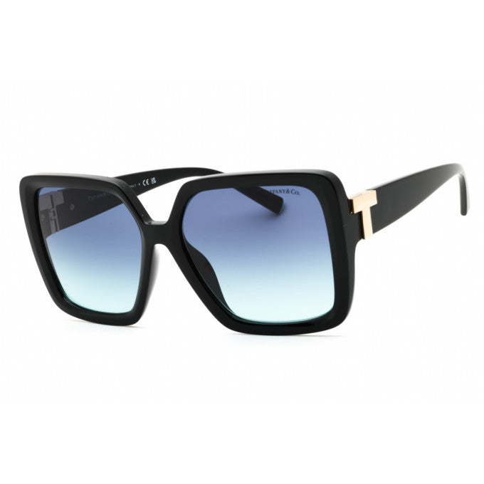 Lentes de sol TF4206U 80019S  58 mm