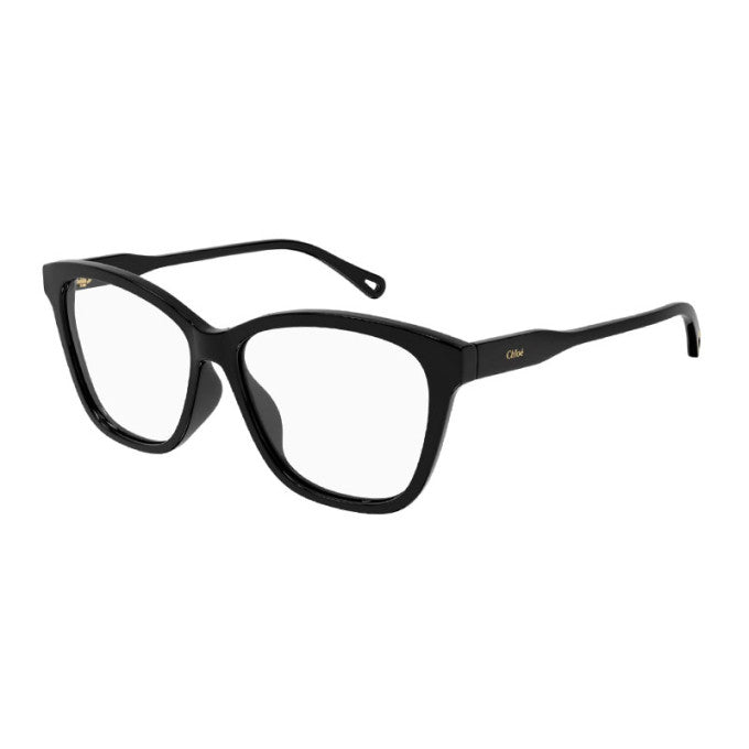 Chloe CH0084OA 001  55 mm