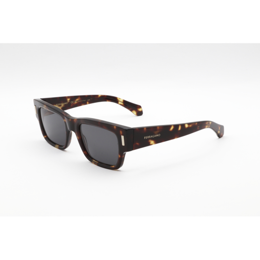 Salvatore Ferragamo SF2011S 242  53 mm