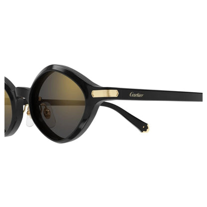 Cartier CT0540S-001 48mm