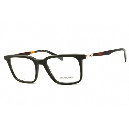 Salvatore Ferragamo SF2969 302  53 mm