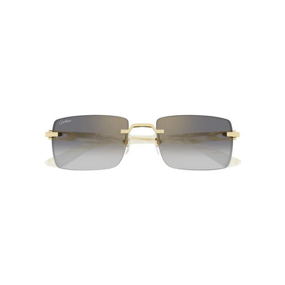 Cartier CT0579S-007 57mm