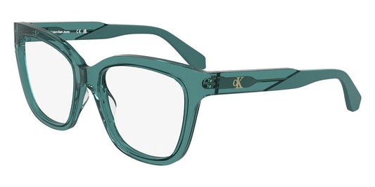 Calvin Klein CKJ25616-432-5317 53mm