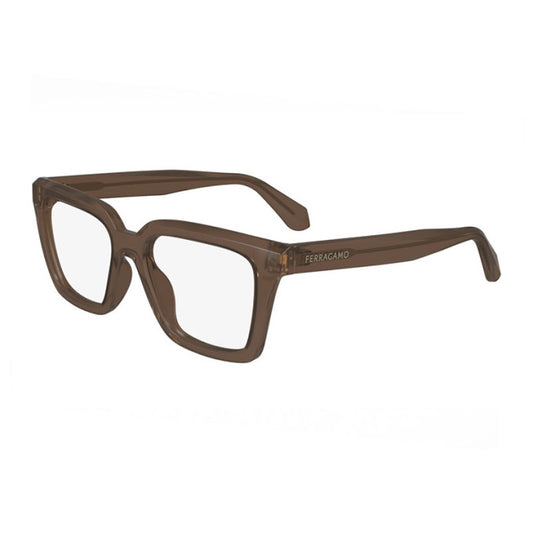 Lentes oftálmicos SF2985 207  52 mm