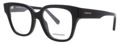 Salvatore Ferragamo SF2953N-219 53mm